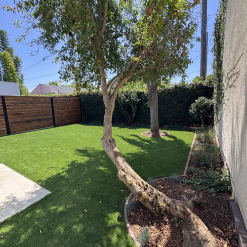 yard2